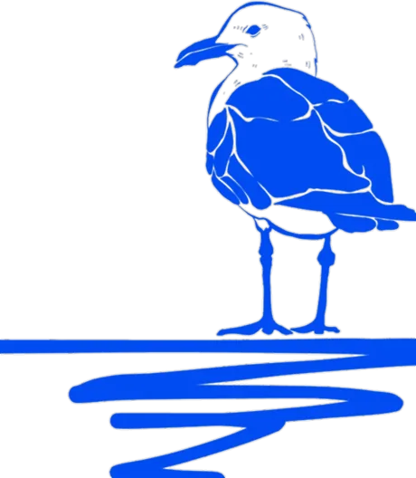 Gaviota del puerto sobre el agua